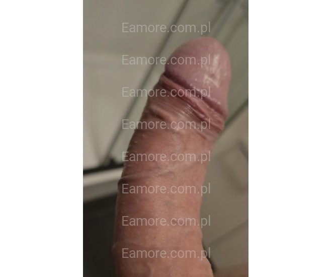 Pani szuka pani Wrocław