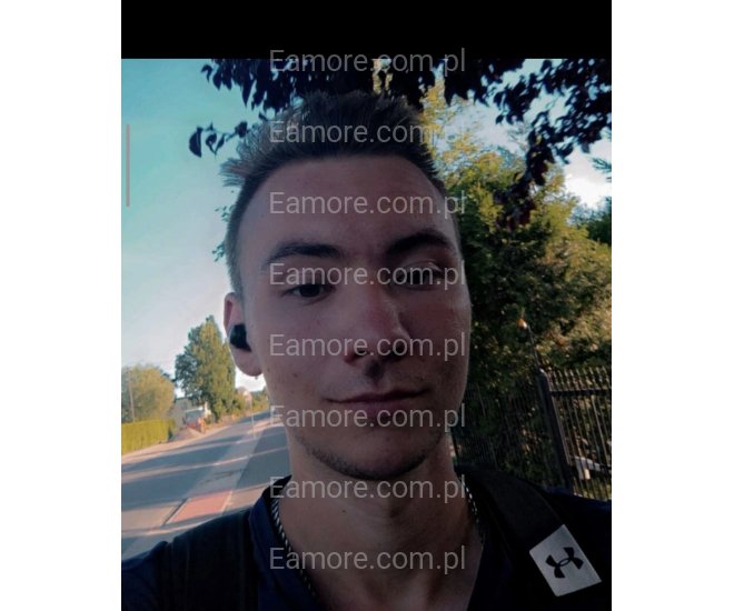 Pan szuka pani Toruń