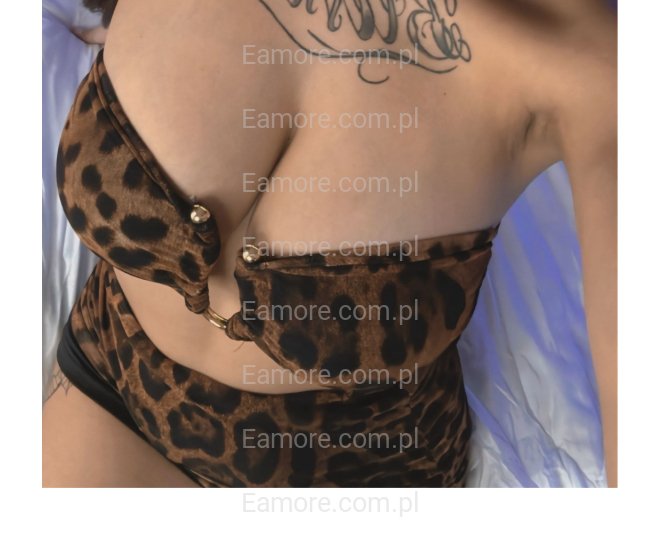 Pani szuka pana (komunikatory) Małopolskie