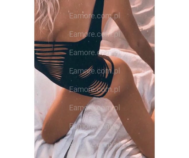 Pani szuka pana Świętokrzyskie