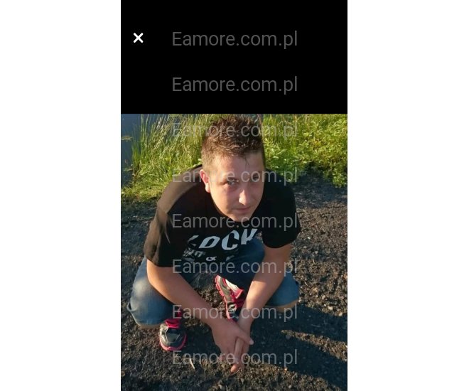 Pan szuka pani Bytom