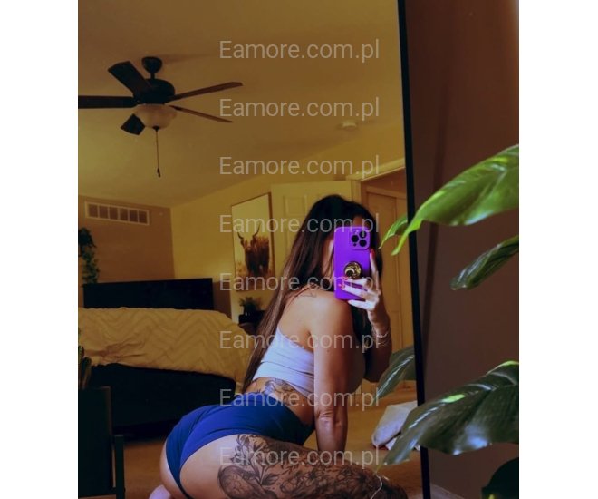 Pani szuka pana Katowice