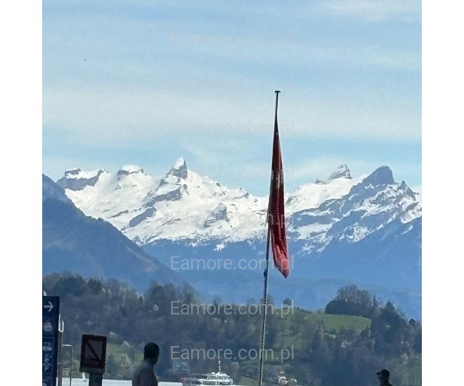 Pan szuka pani Szwajcaria