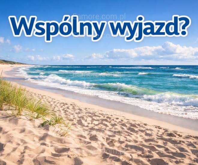 Pan szuka pani Kraków