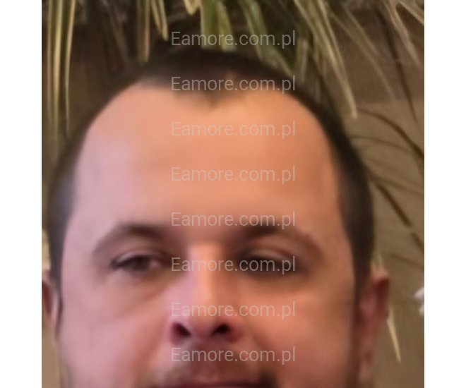 Pan szuka pani Opole