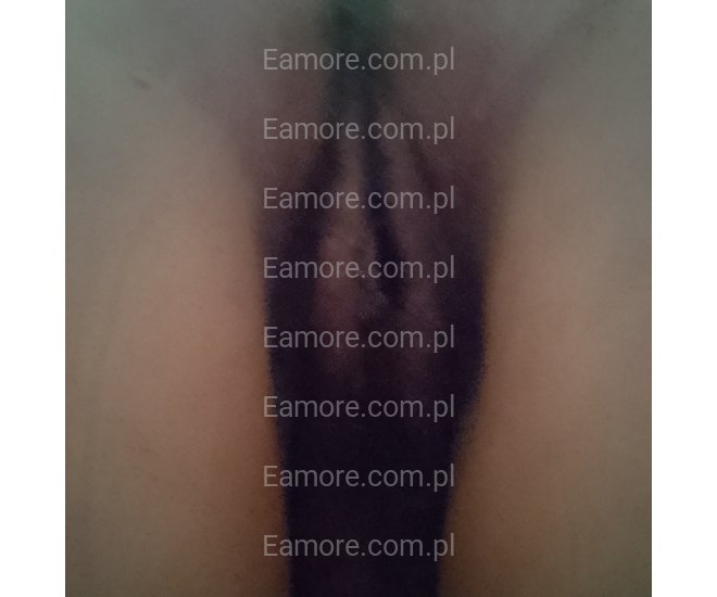 Pani szuka pana Sosnowiec