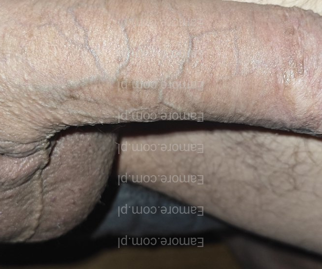 Pan szuka pani Radom