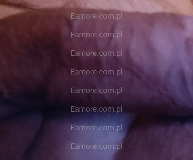 Pan szuka pani Radom