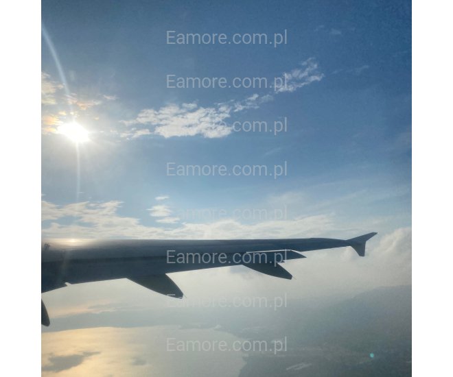 Pan szuka pani Czeladź