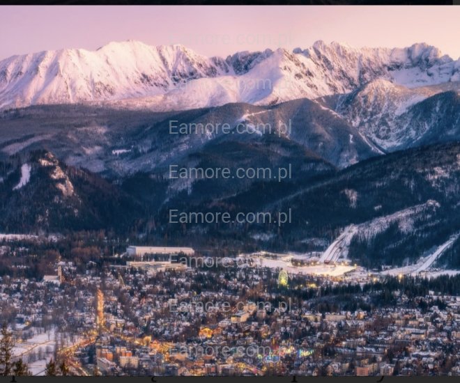 Pan szuka pani Kraków