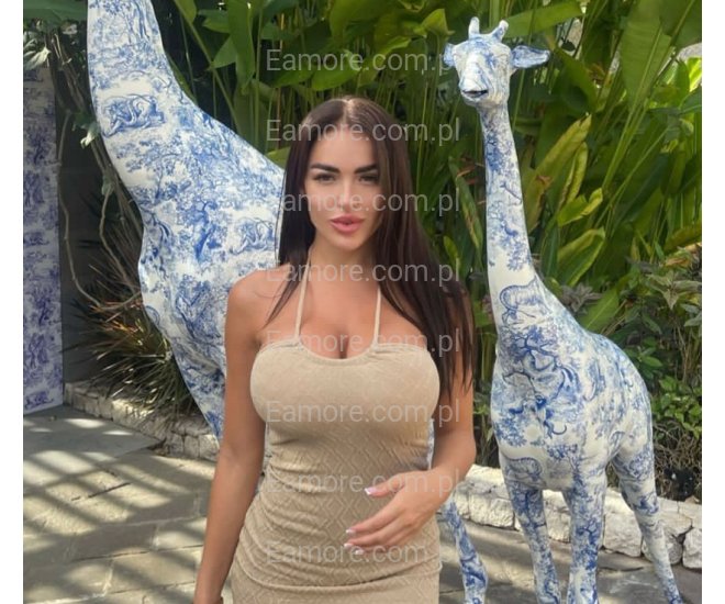 Pani szuka pana Katowice