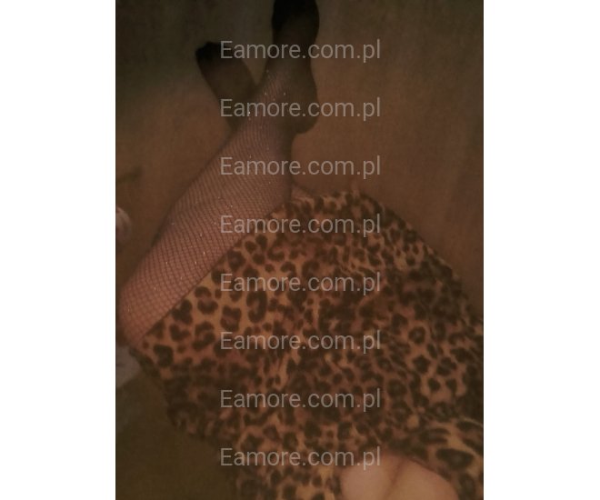 Pani szuka pana Głuchołazy