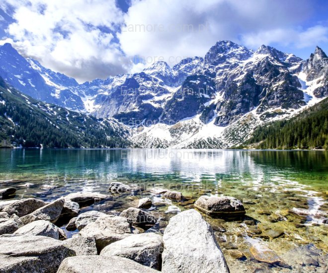 Pan szuka pani Warszawa