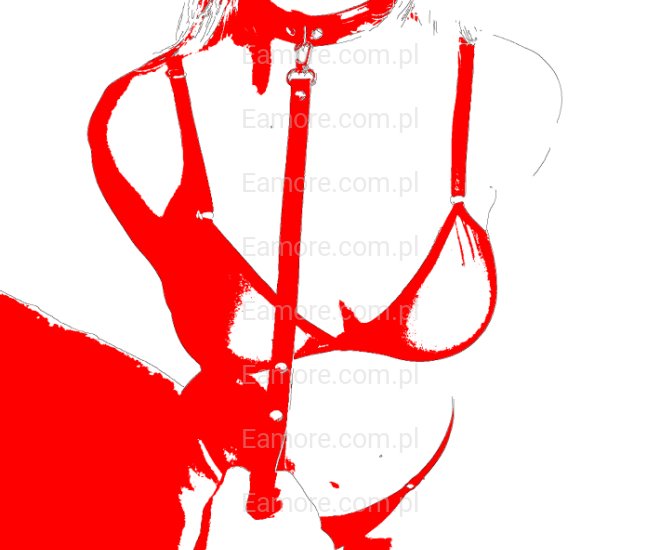 Master szuka niewolnicy Kraków