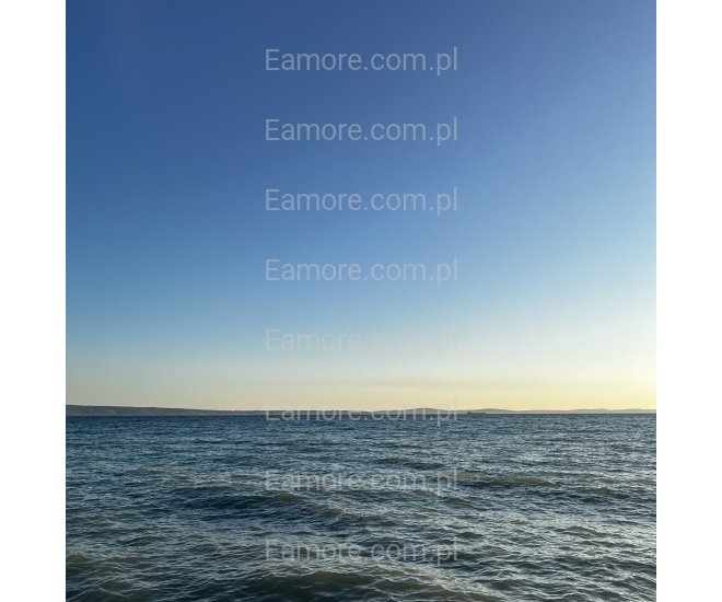 Pan szuka pani Warszawa