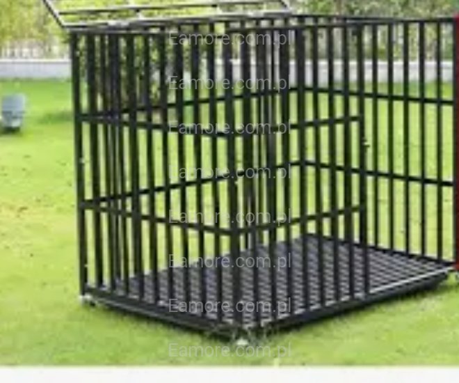 Pani szuka pana Toruń