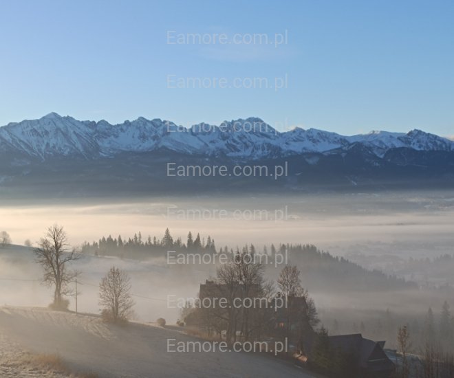 Pan szuka pani Śląskie