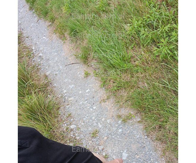 Pan szuka pani Bochnia