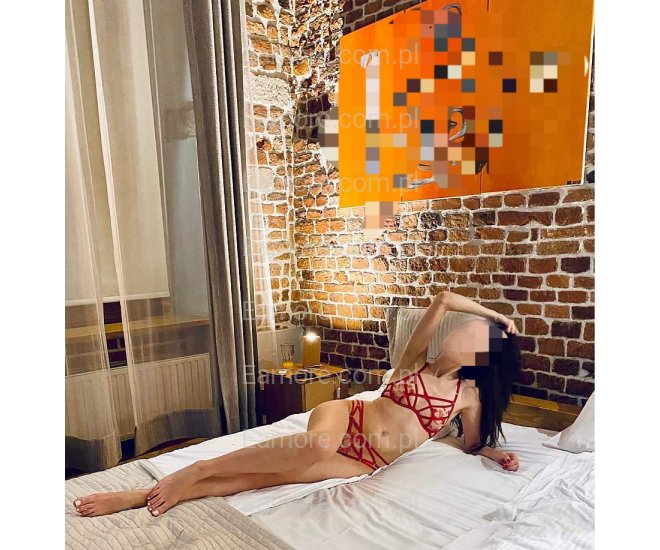 Pani szuka pana Katowice