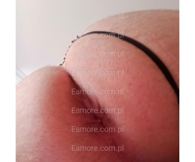 Pan szuka pana Katowice