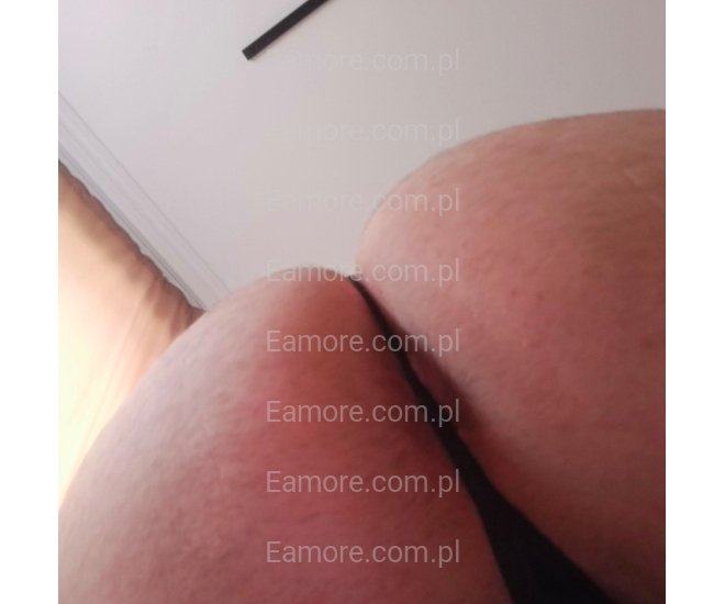 Pan szuka pana Katowice