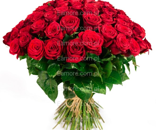 Pan szuka pani Szczecin