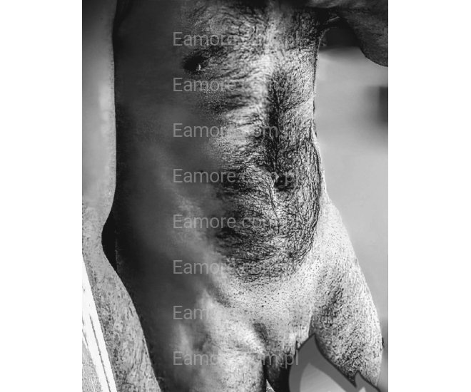 Pan szuka pani Toruń