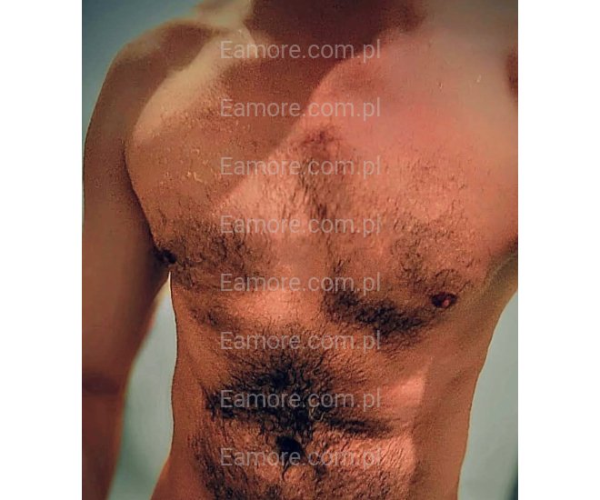 Pan szuka pani Toruń