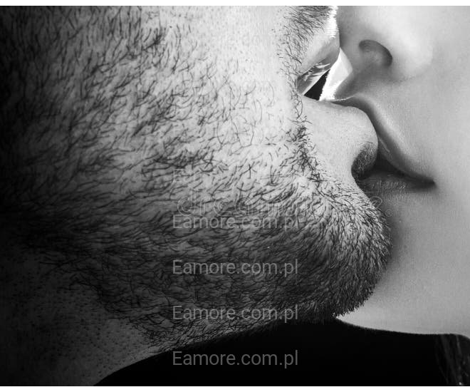 Pan szuka pani Toruń