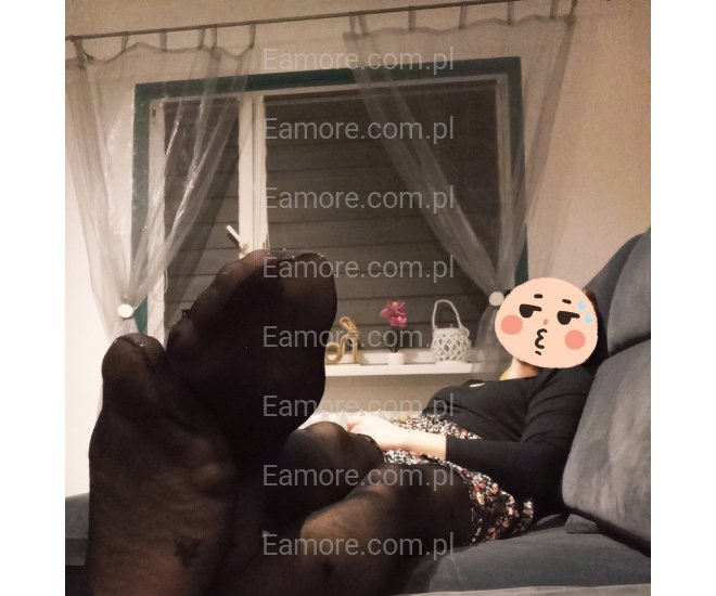 Pan szuka pani Katowice