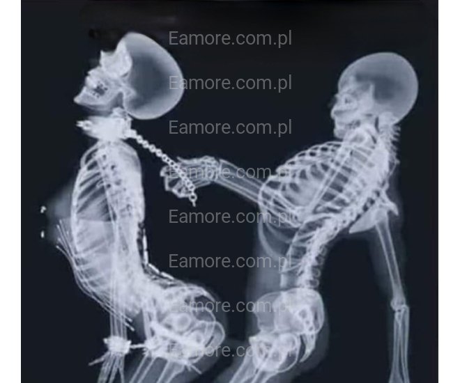 Para szuka pary Warmińsko-mazurskie