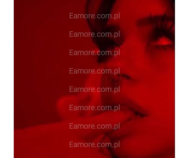 Pan szuka pani Toruń