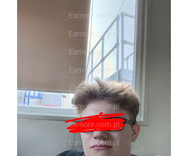 Pan szuka pani Katowice