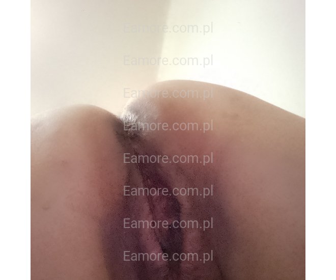 Pani szuka pana Sosnowiec