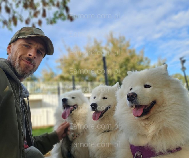 Pan szuka pani Warszawa