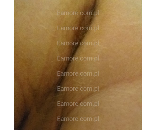 Pan szuka pana Toruń