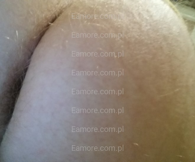 Pan szuka pana Toruń