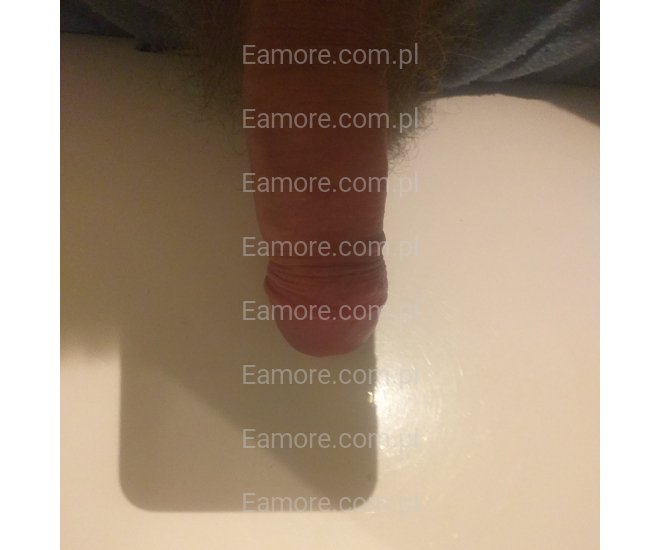 Pan szuka pana Toruń