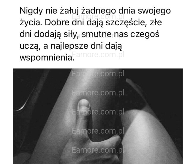 Pan szuka pani Mazowieckie