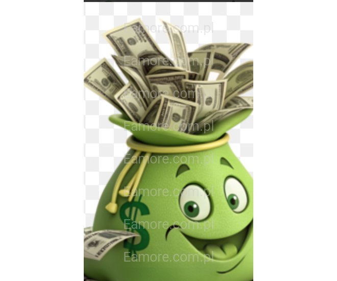 Pan szuka pani Rybnik