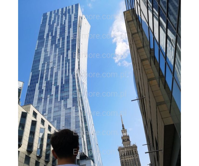 Pan szuka pani Poznań