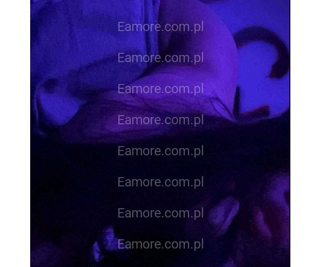 Pokazy skype, whatsapp Warszawa