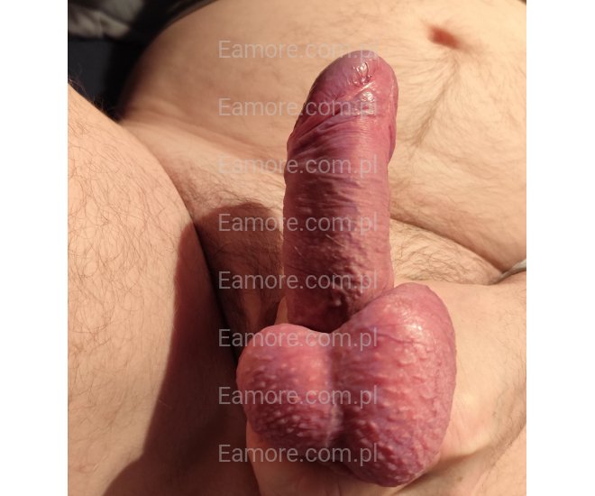 Pan szuka pani Trzebnica