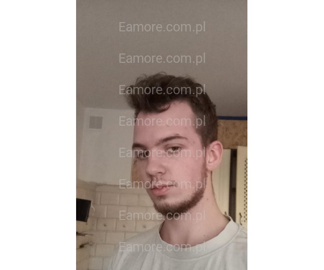 Pan szuka pani Ostrołęka