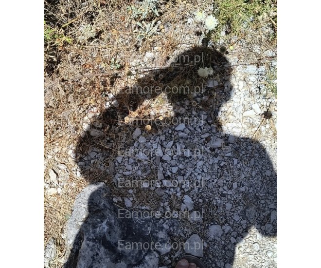 Pan szuka pani Rzeszów