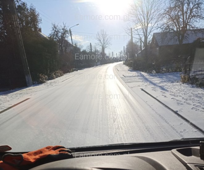 Pan szuka pani Łapy