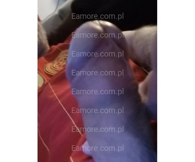 Pan szuka pani Kraków