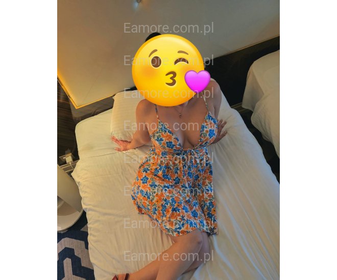 Pani szuka pana (komunikatory) Katowice