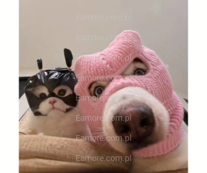 Pan szuka pani Bielsko-Biała