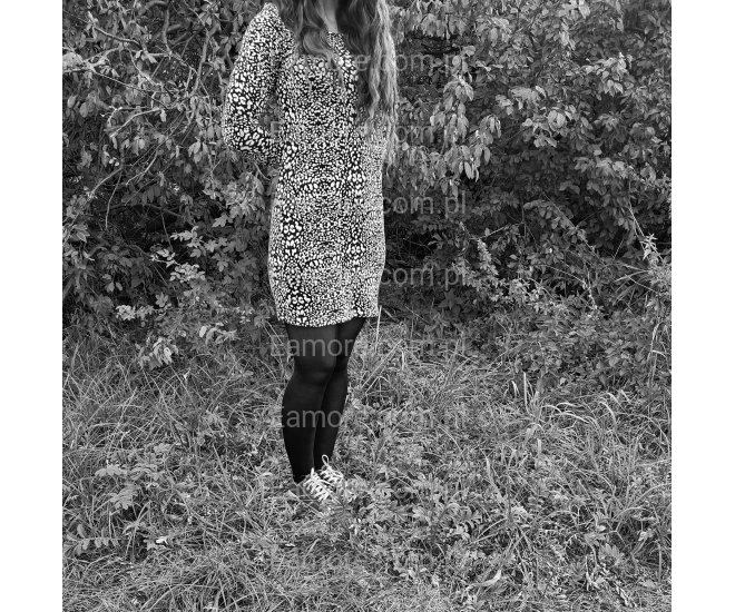 Pani szuka pana Tychy